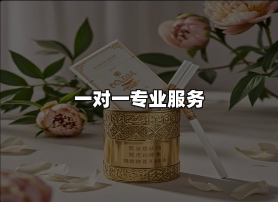 专业优势